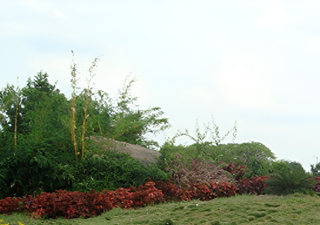 Plots for Sale in Ravalkole Medchal