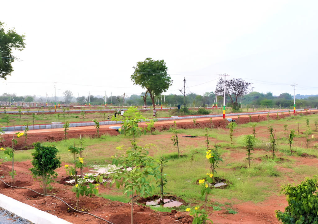 Plots for Sale in Tangutoor Hyderabad