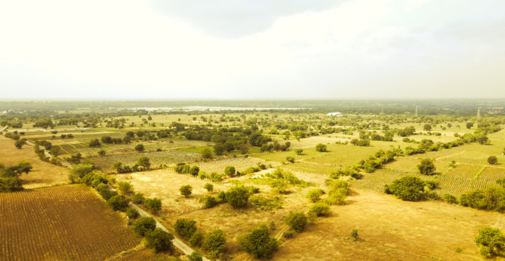 Farm Land in Terpole Sangareddy Hyderabad







